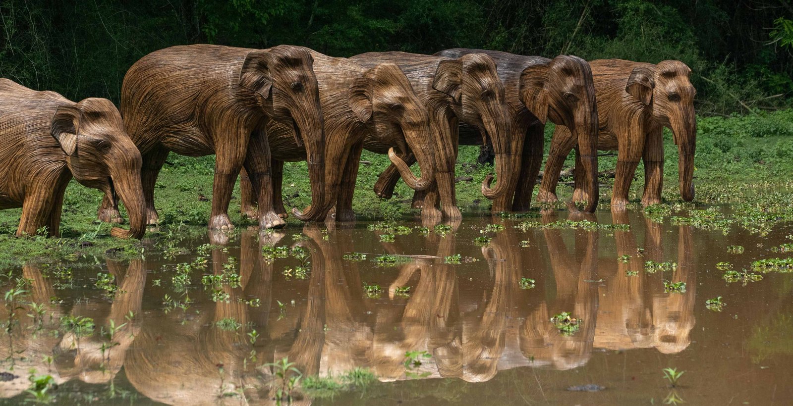 The Travelling Band of Elephants